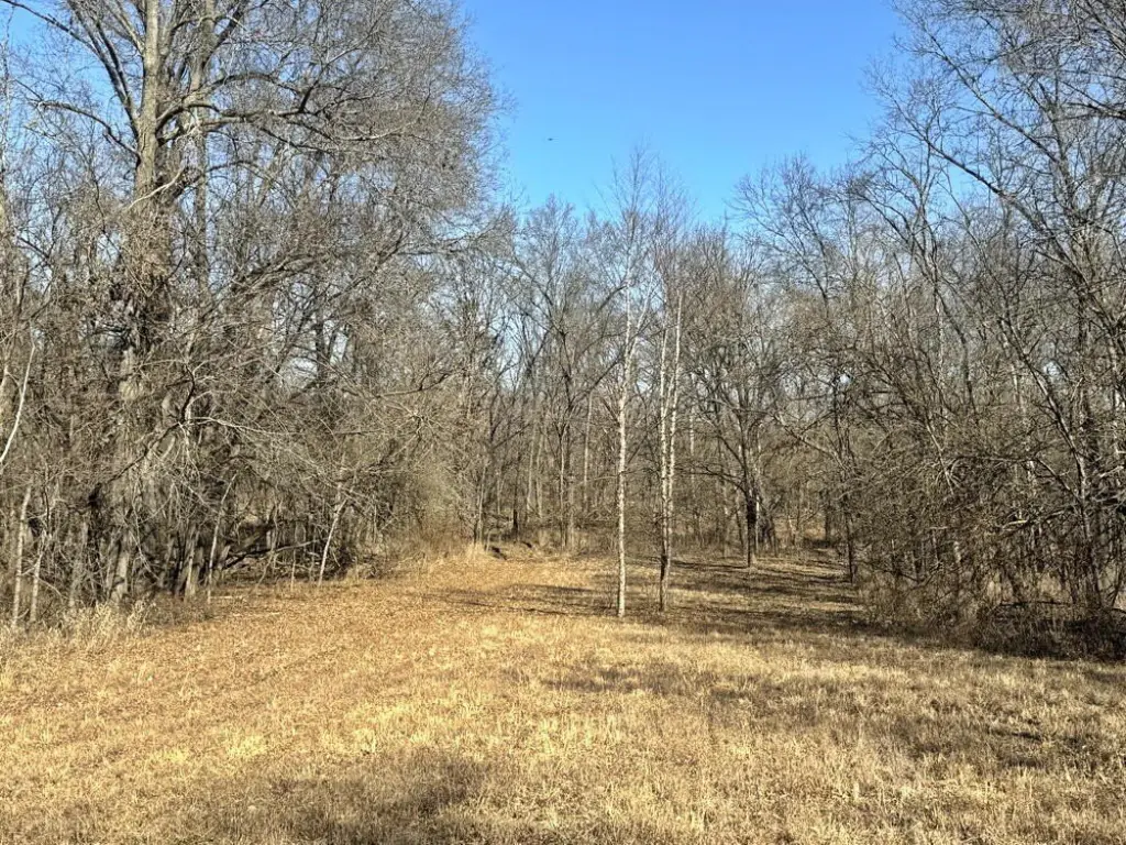 Picture 30
