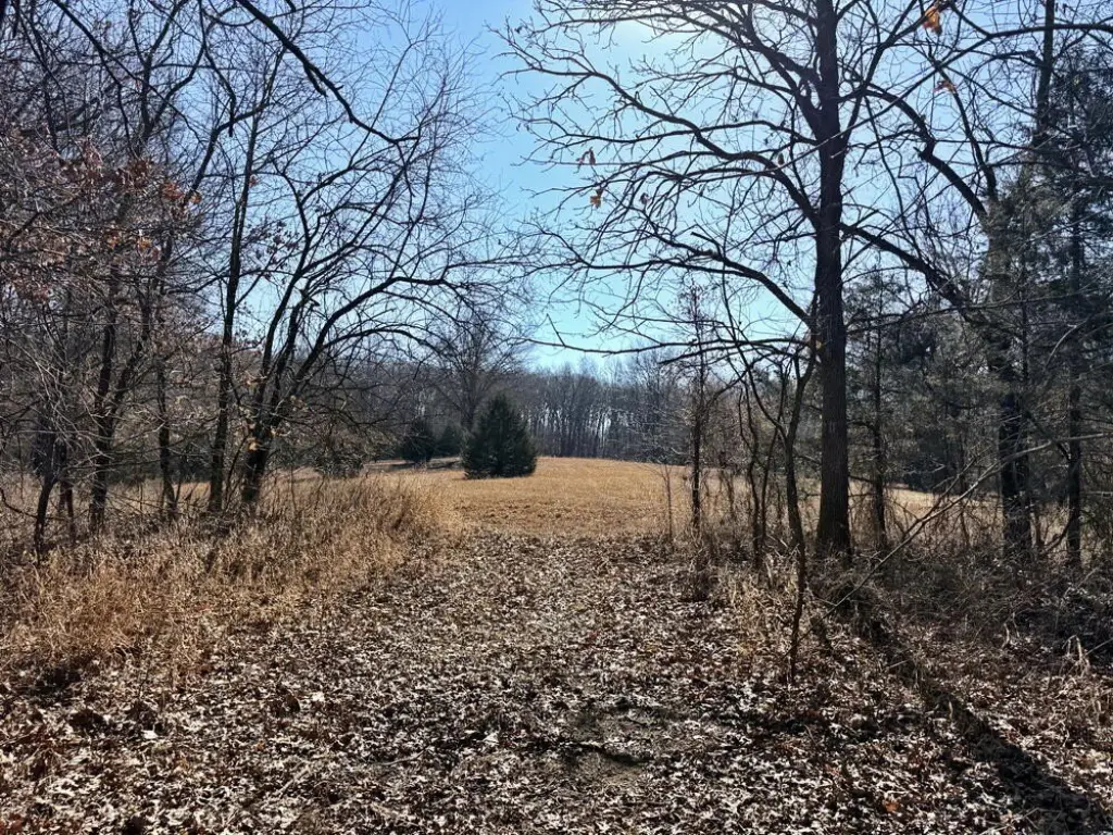 Picture 34