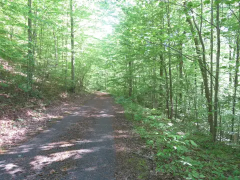 Land in Russell Springs, KY