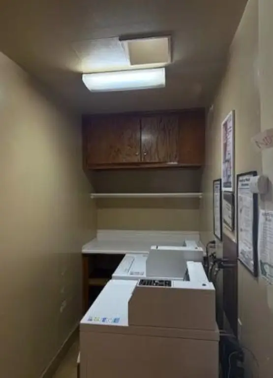 Picture 12