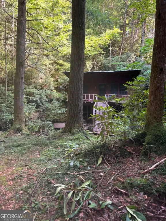 Picture 2