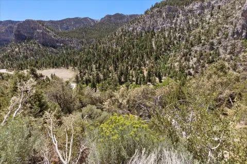 Mount Charleston Land Opportunity