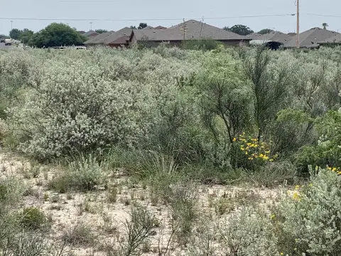 Undeveloped Lot in Del Rio