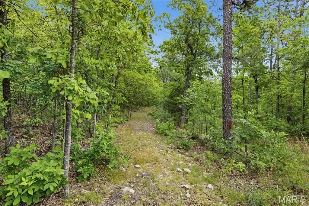 Picture 21