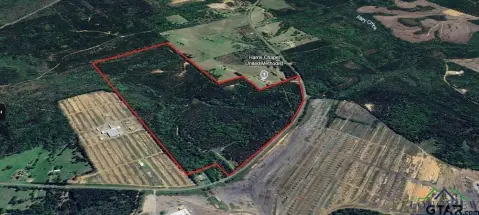 Picturesque 200-Acre Hunting and Timber Land