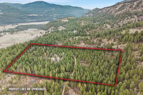 Kettle Falls 20 Acre Land