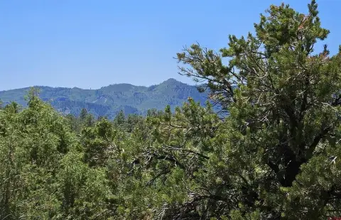 Secluded Wooded Acres in Pagosa Springs
