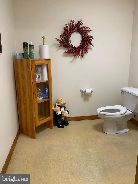 Picture 36