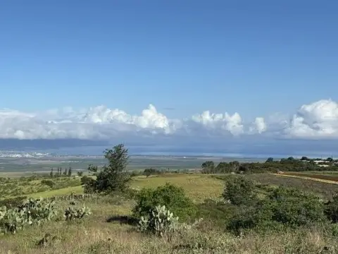 Fenced Agricultural Land
