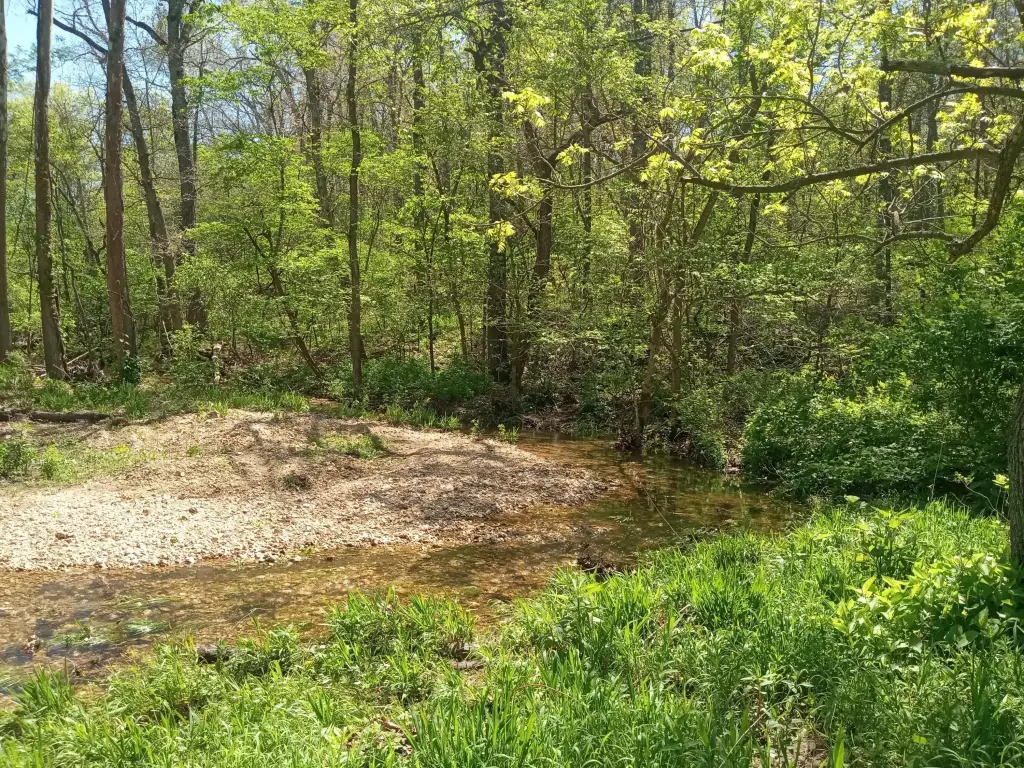 Picture 2
