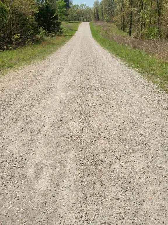Picture 18