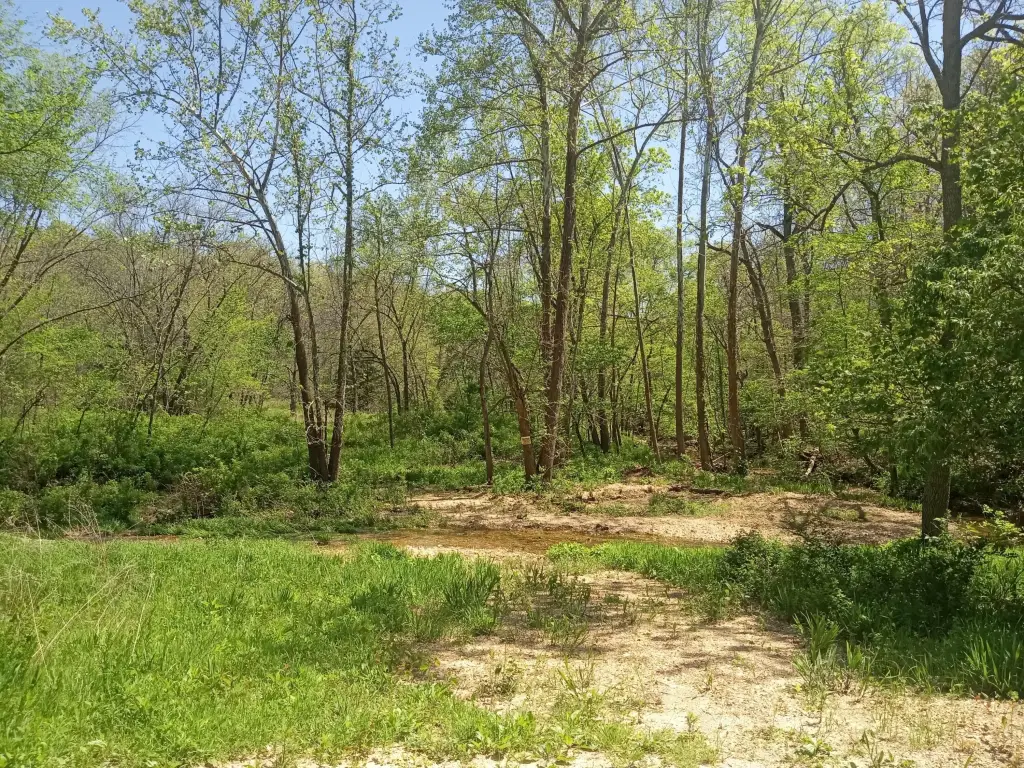 Picture 3