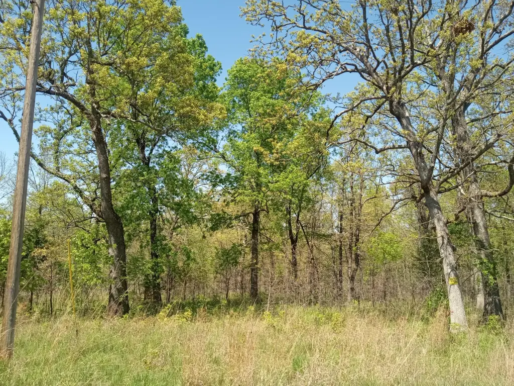 Picture 11
