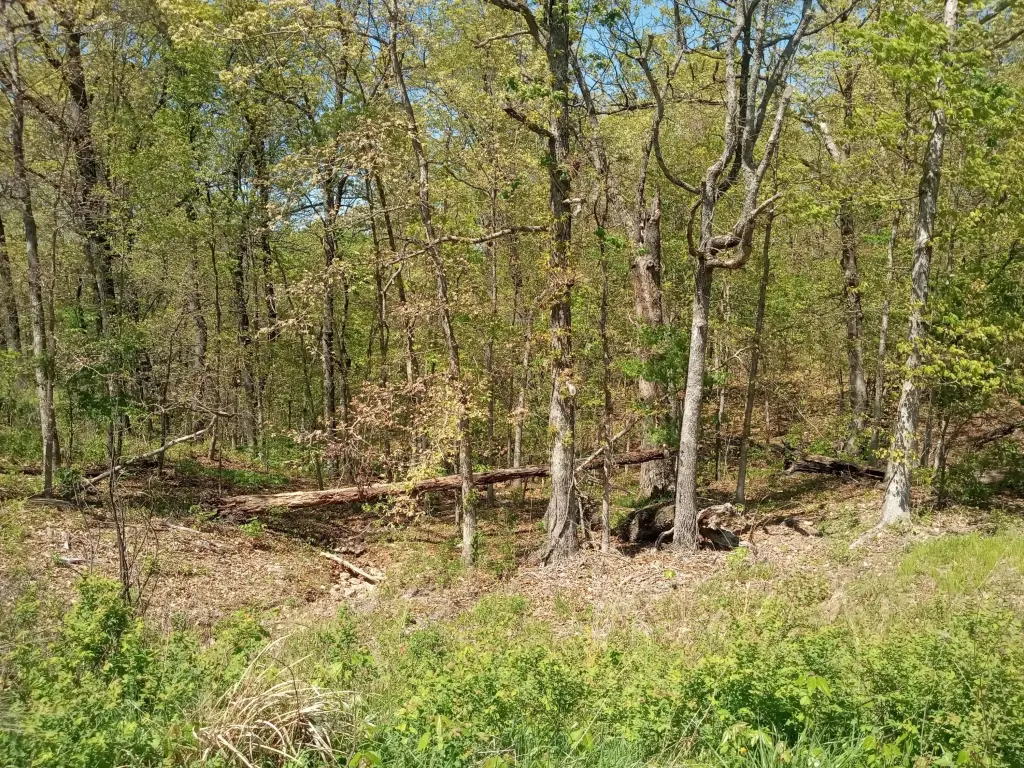 Picture 13