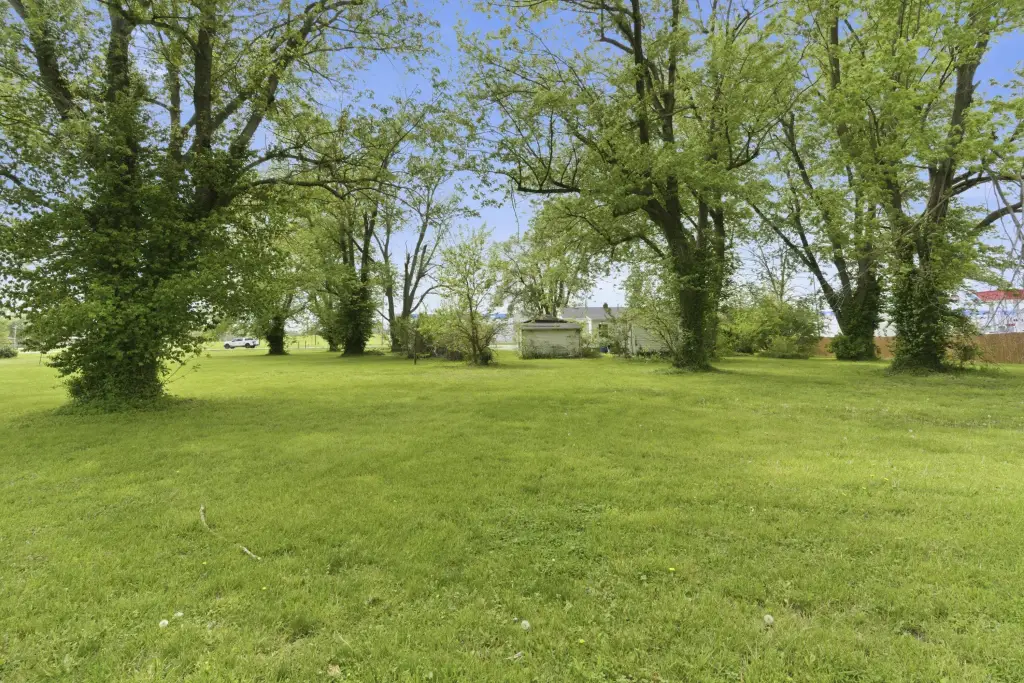 Picture 6