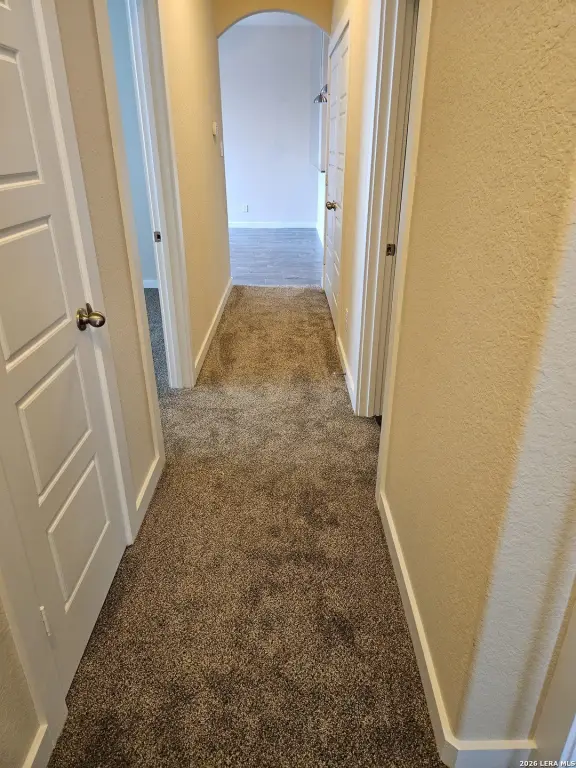 Picture 24