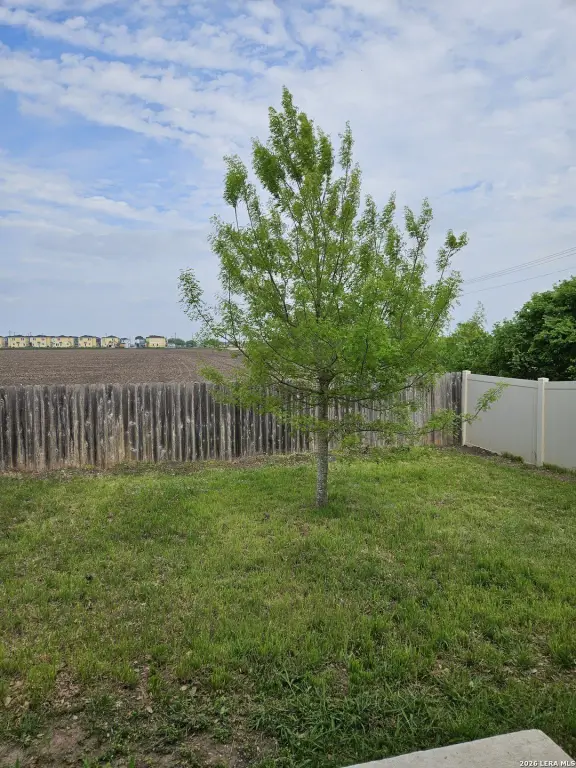Picture 39
