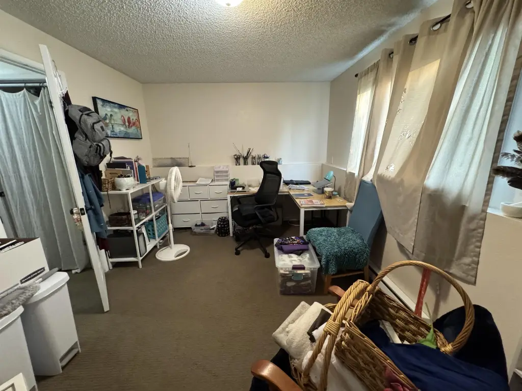 Picture 14