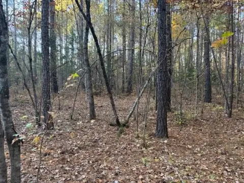 Shiloh Land with Natural Beauty