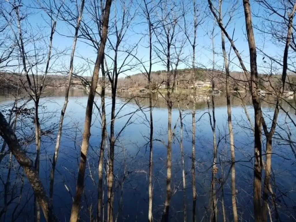 Picture 8