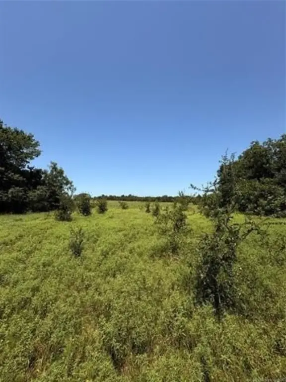 Picture 25