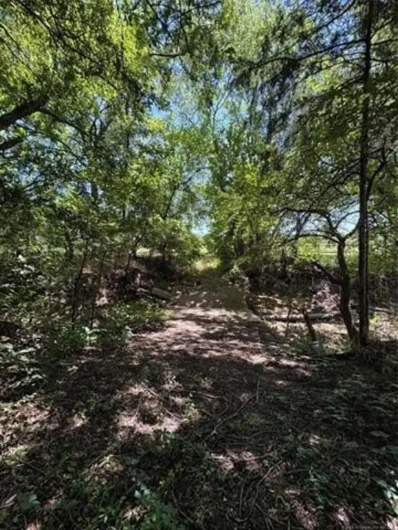Picture 24