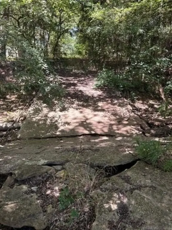 Picture 21