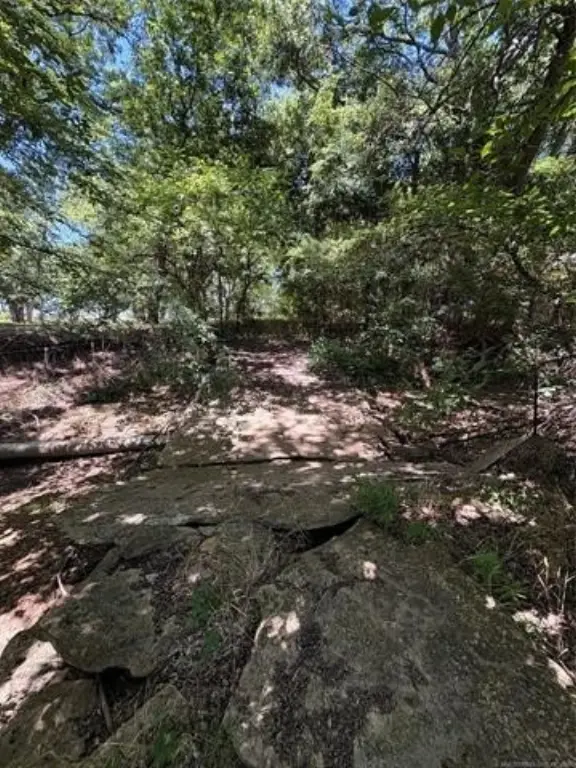 Picture 23