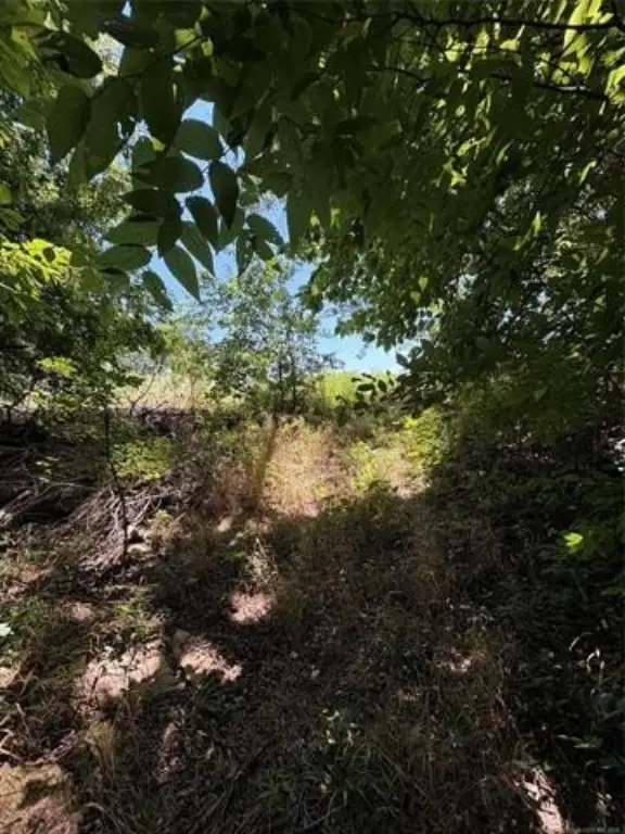 Picture 22
