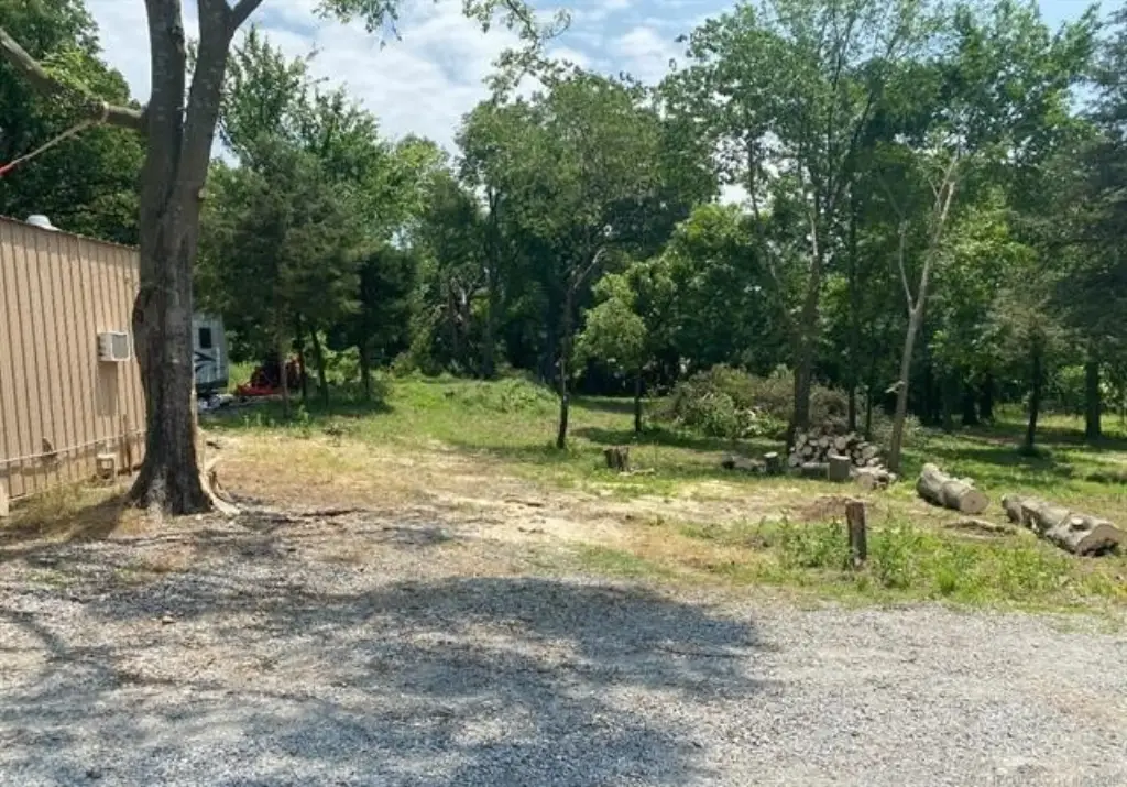 Picture 12