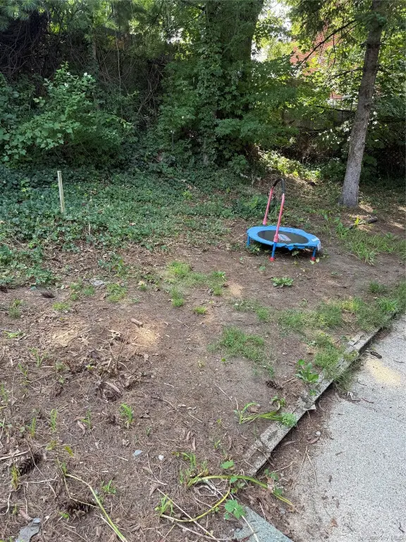 Picture 21