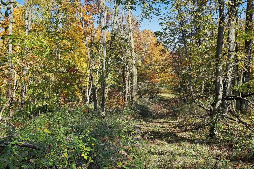 Picture 7