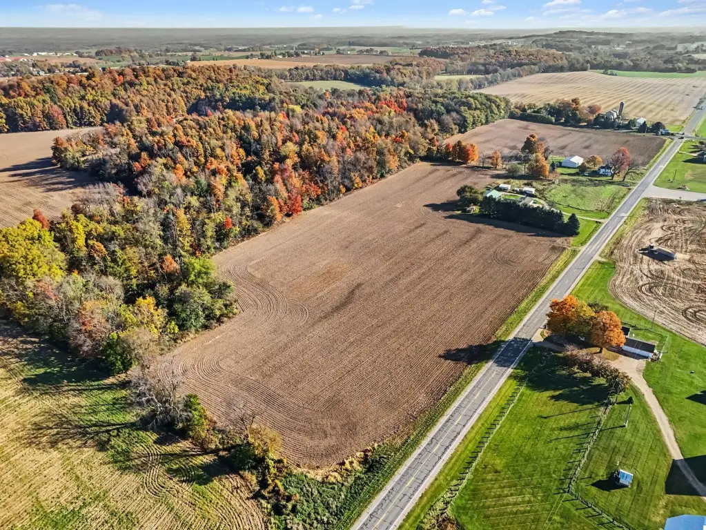 Picture 8