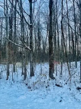 25 Acres Wooded Land