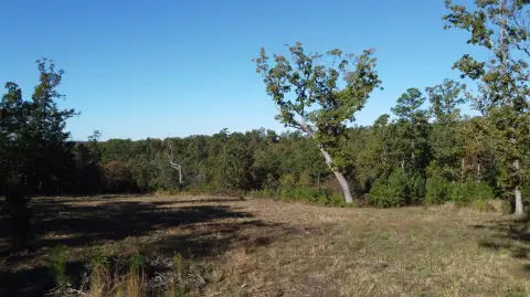 Missouri Ozarks Recreational Land