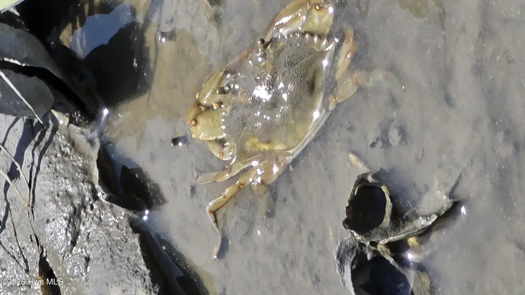 Picture 24