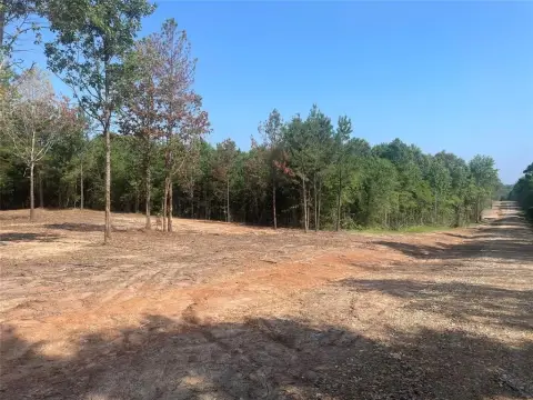 Land Lot in Gilmer, TX