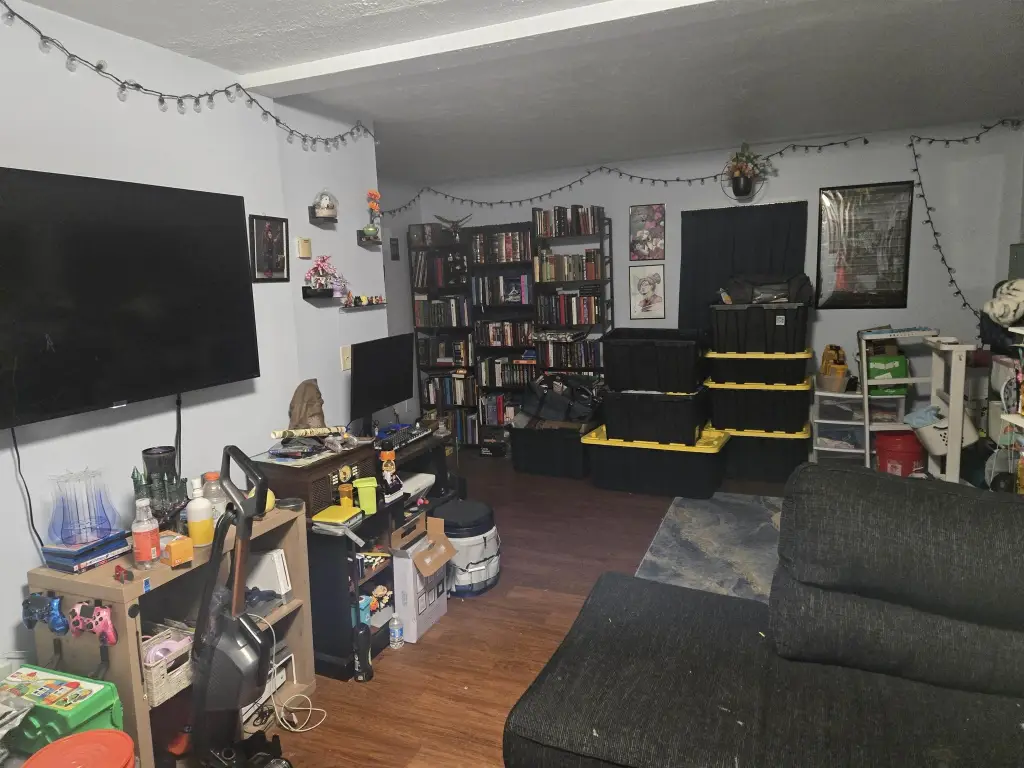 Picture 17