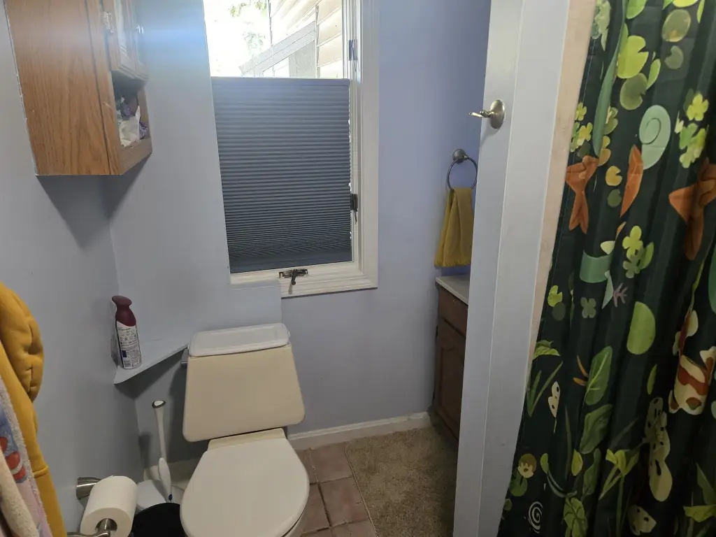 Picture 21