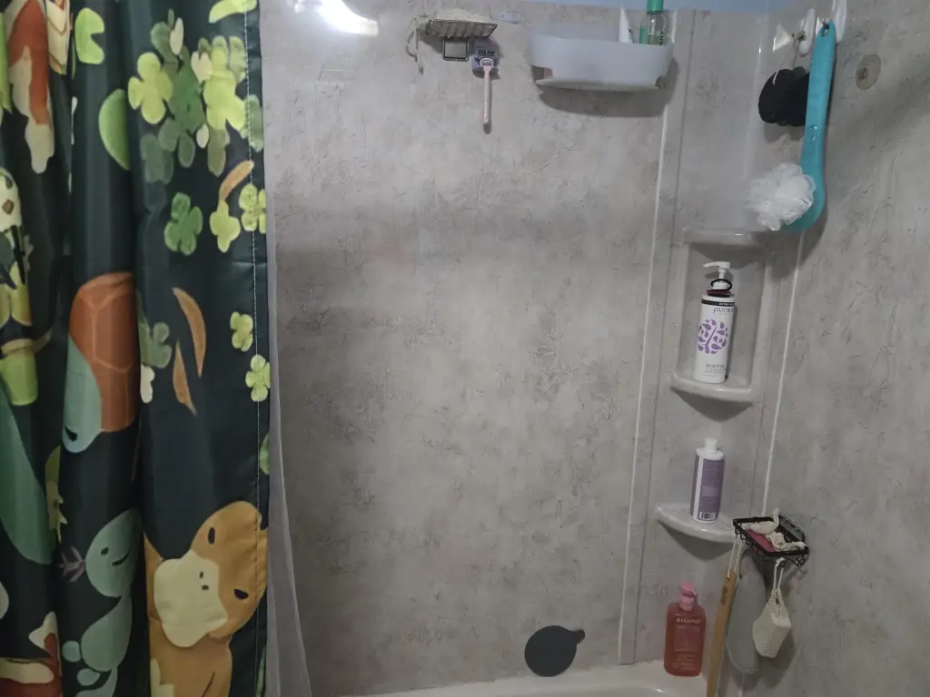 Picture 20