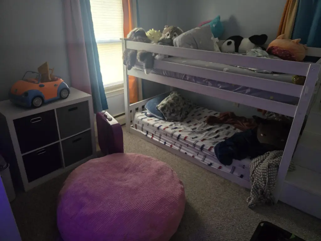 Picture 19