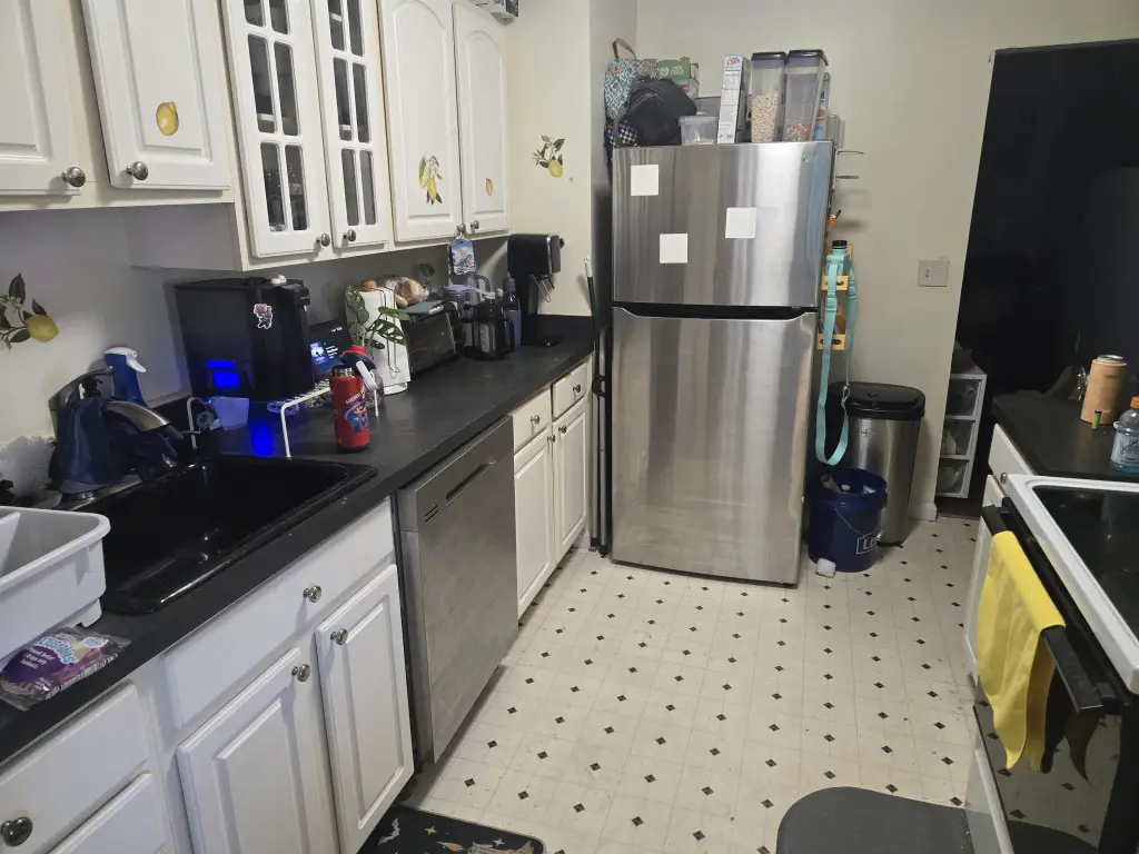 Picture 15