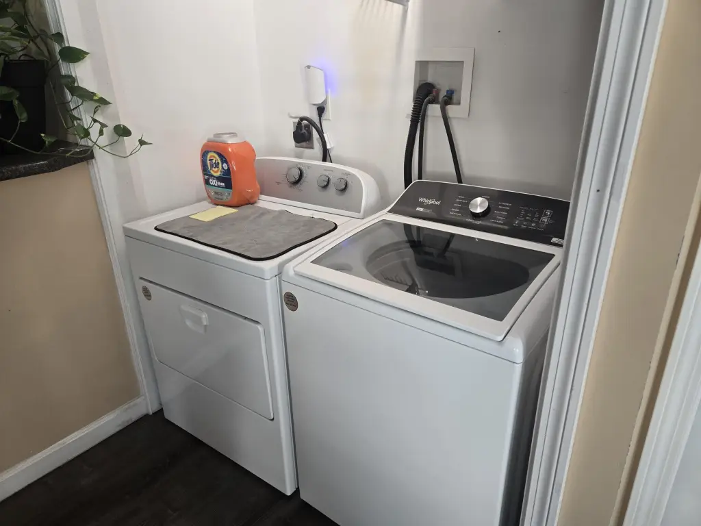 Picture 41
