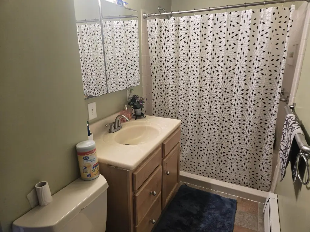 Picture 16
