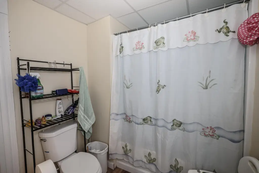 Picture 17