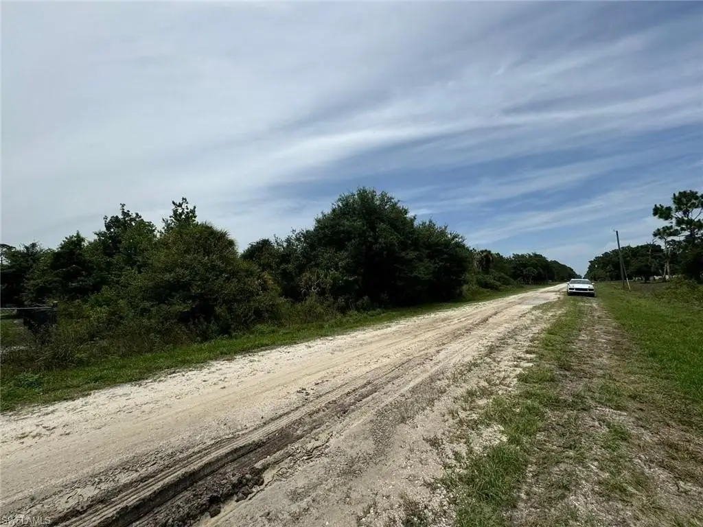 Picture 4