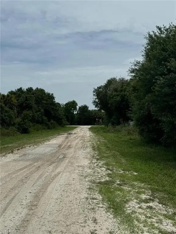 Picture 3