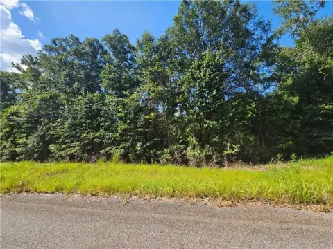 Residential Lot in Eight Mile