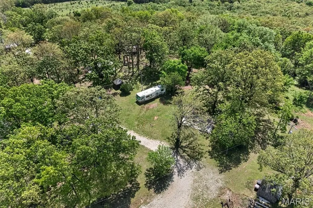 Picture 7