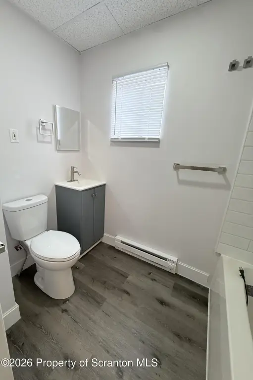 Picture 19